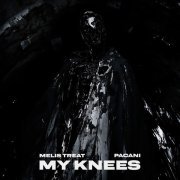 Melis Treat, PACANI - My Knees