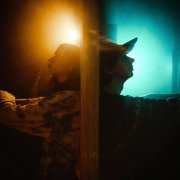 jersey alien, Out Of Stock - Комната