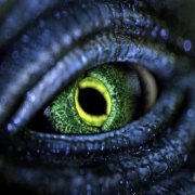 HEAVY PAYPAL - Белый человек