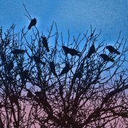 рэ.прэса - завтра