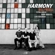 Bill Frisell - God's Wing'd Horse