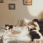 Soltwine - Песня про кота