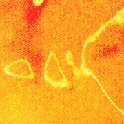 Mereba, Monte Booker - b 2 b