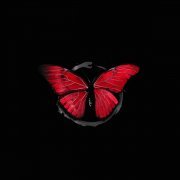 MONRAU - По кругу