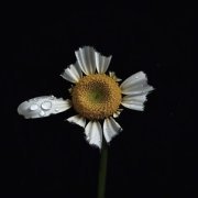 Листая Страницы - Живи