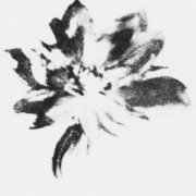 SXUNDMANE - i'm yours