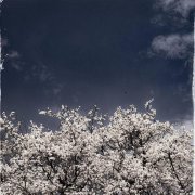 МОЯ ВЕСНА - МЕЧТЫ