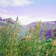 CHLOE (Thévenin), Vassilena Serafimova - White Circle Canteen