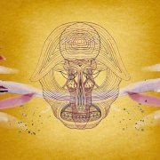 Devendra Banhart - Brindo