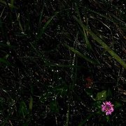 JIVOY - Одна вода