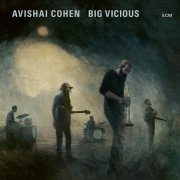 Avishai Cohen, Big Vicious - Teardrop