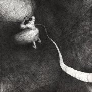 Полюса - Знай, знай, знай!