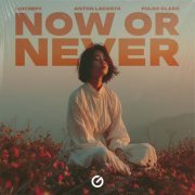 Lintrepy, Anton Lacosta, Pulso Claro - Now Or Never