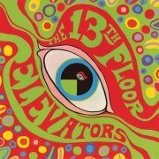 13th Floor Elevators - Reverberation (Mono LP Version)