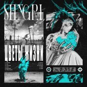 Shangri-Ła - Гены