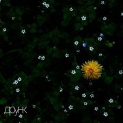 друнк - Хочу сказать