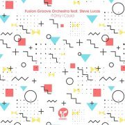Fusion Groove Orchestra, Steve Lucas - If Only I Could (feat. Steve Lucas) [Liem Remix]