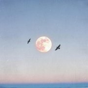 Даша Волосевич, Райс - небо - это ты