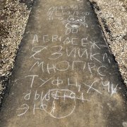 Влада Горькова - Трудности адаптации