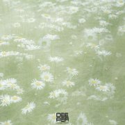 RILTIM - Dreamcatcher