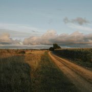 Antent, Nectry, thedeathlysilence - if it was right