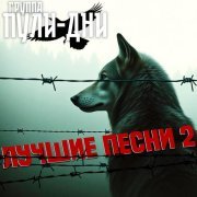 Группа Пули-Дни - Босяк