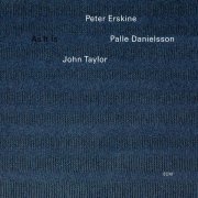 Peter Erskine, Palle Danielsson, John Taylor - The Lady In The Lake