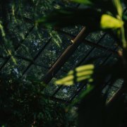 Artem Ramanau, Izzamuzzic - Breathe Again