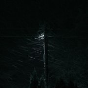 Money Flip, fluff - Losing (Breakcore Version)