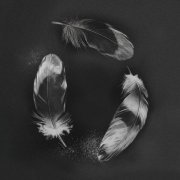 Slander, NGHTMRE, ZOHARA - Free