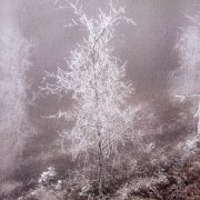 PROOVY - вечная петля