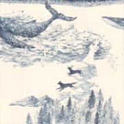 Matt Johnson - Earth's Mysteries