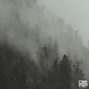 RILTIM - Reflections