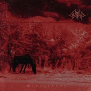 Supruga - Гипнофобия