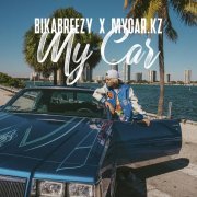 BikaBreezy - My car
