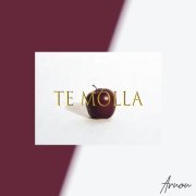 Arnon, letskillua - Te Molla