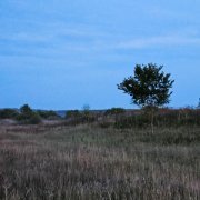 Мурманск - Пустота