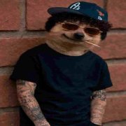 KUDOKUSHI - недотрога