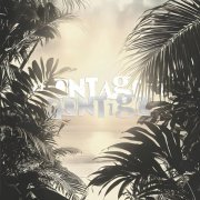 Repsaj - MONTAGEM CONTIGO (Sped Up)