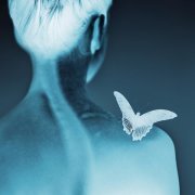 Nikita Kamenskiy, Сюзанна - Мыс доброй надежды