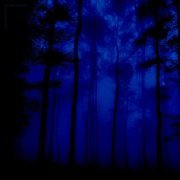 my head is empty, Miranda Rain - a way out