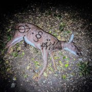 aldn, Wisp - crocodile eyes