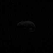 Danny Farro - COLDLINE