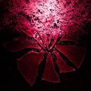 yourneck - Последние годы