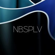 NBSPLV - Discussion