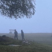 круча - локоны