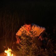 Милки Мист - Дикие