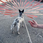 We Are Scientists - What You Want Is Gone