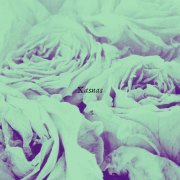 Crisp Nibblets - Xasnas