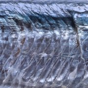 15 15 - Take Off Late